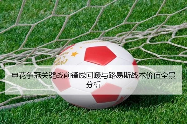 申花争冠关键战前锋线回暖与路易斯战术价值全景分析 - kaiyun